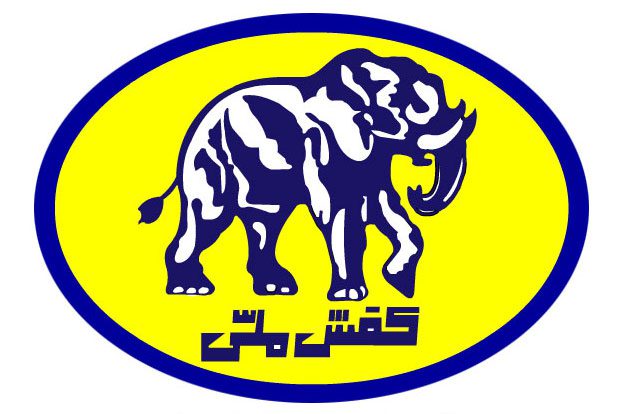 melli-shoe-logo