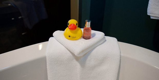 Radisson-Hotels-duck