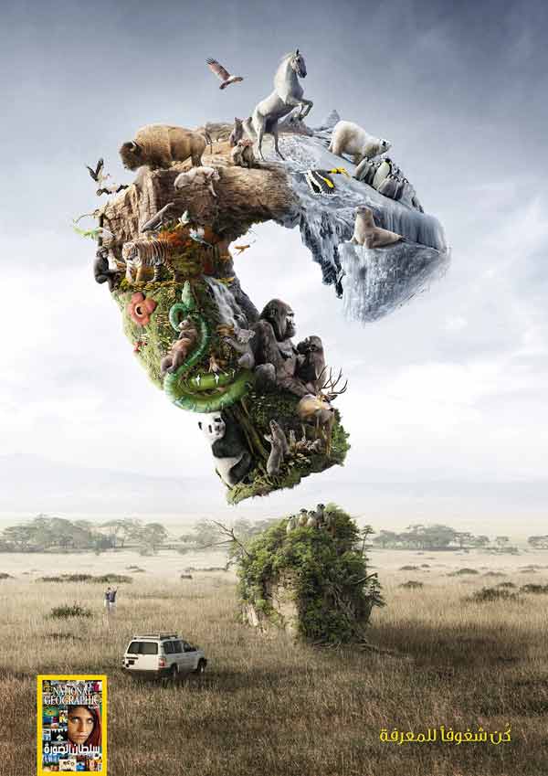 national-geo-imarketor-wild