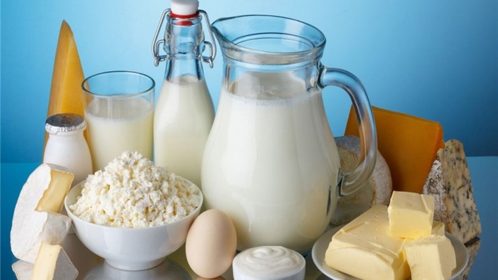 برندهای صنایع لبنی در اینستاگرام