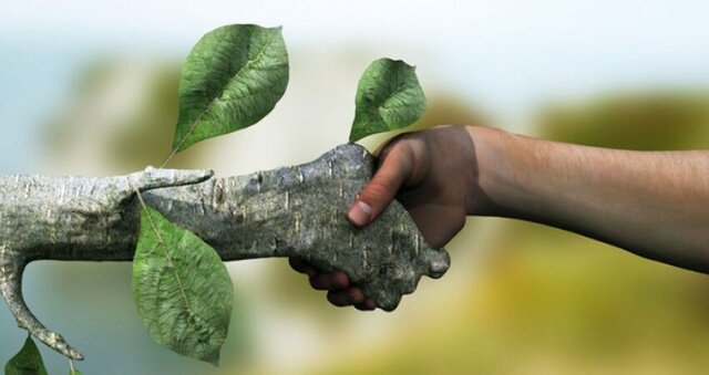حفظ محیط زیست