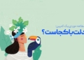 کمپین «دلت با کجاست» فلایتیو: آمارها و بررسی دلایل موفقیت | آیمارکتور