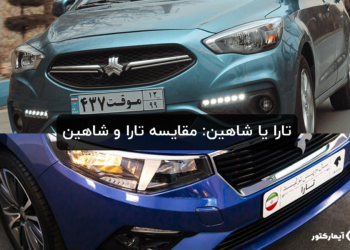تارا یا شاهین