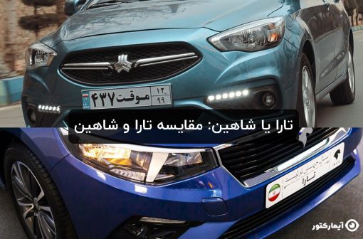 تارا یا شاهین