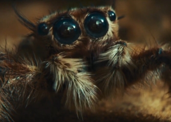 تبلیغ سامسونگ گلکسی S22 Ultra