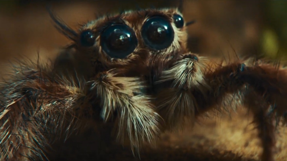 تبلیغ سامسونگ گلکسی S22 Ultra