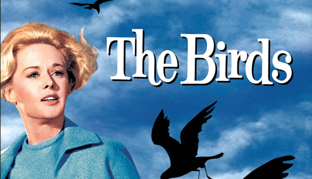 بهترین فیلم ترسناک: پرندگان ( The Birds)