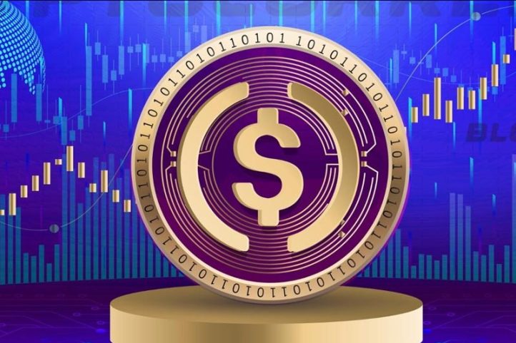 USD Coin (USDC)