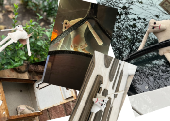 گوریلا مارکتینگ ازازیل